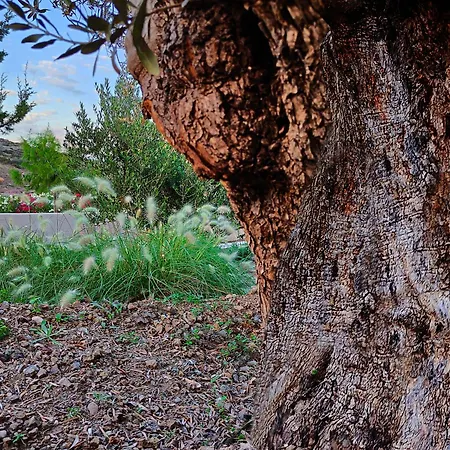 Casa Horizon Villa *