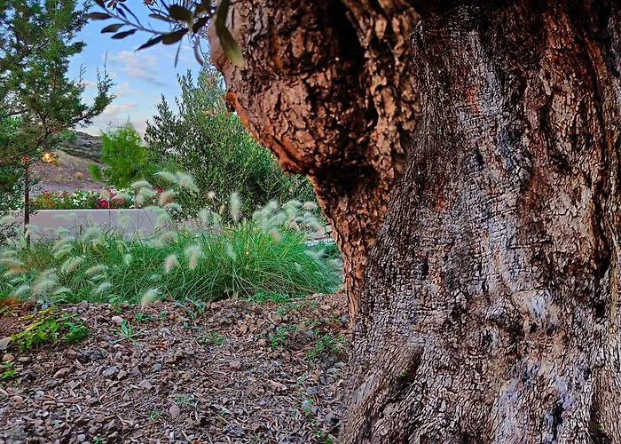 Casa Horizon Villa *